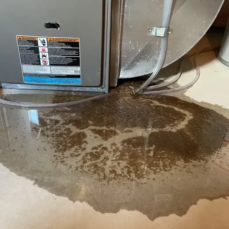 Appliance Leak Cleanup in Ferrysburg, MI